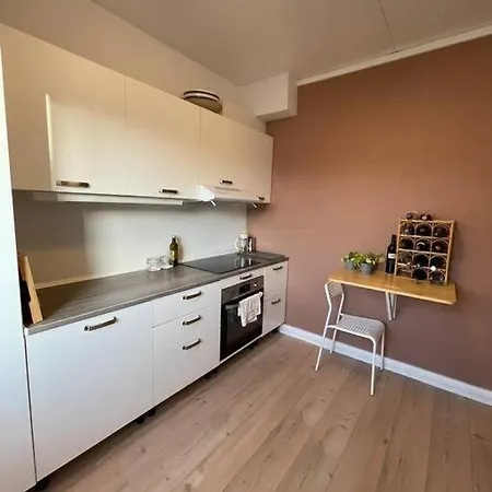 Sentral Leilighet Til Utleie Apartment