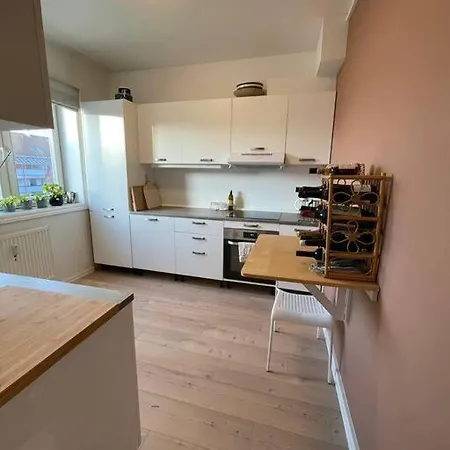 Apartment Sentral Leilighet Til Utleie *