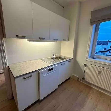 Sentral Leilighet Til Utleie Apartment